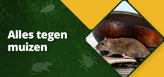 ⋙ Muizen bestrijden? | Ruim assortiment | Kabelshop.nl